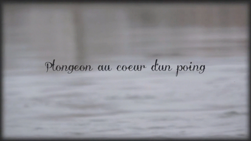 Plongeon au coeur d'un poing